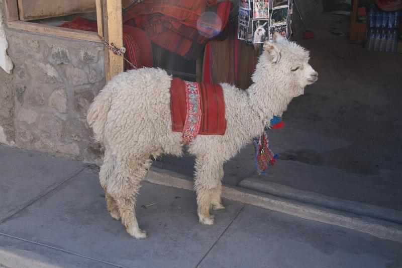 Peru 0815